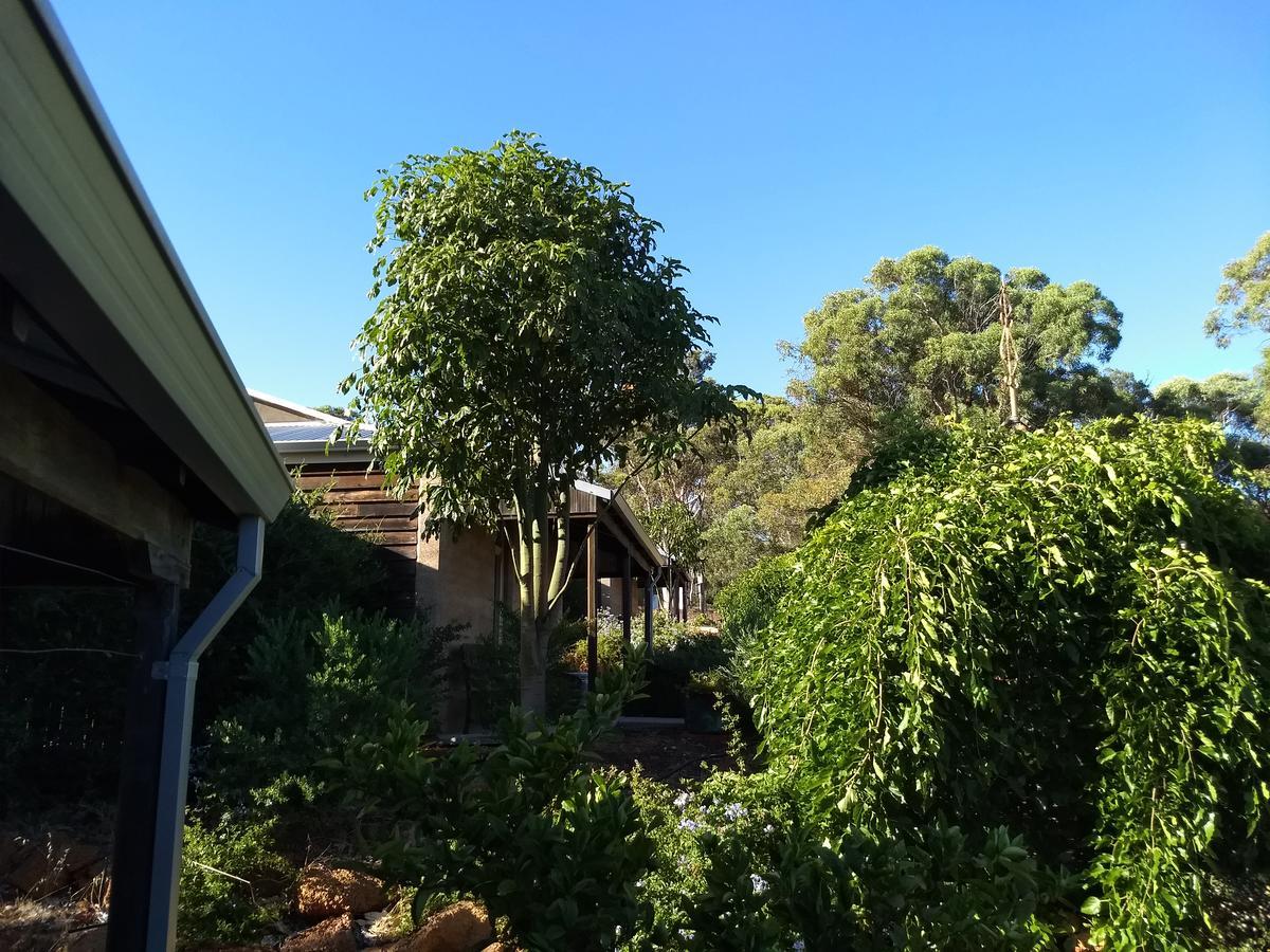 فيلا Hotham Ridge Estate Wandering المظهر الخارجي الصورة